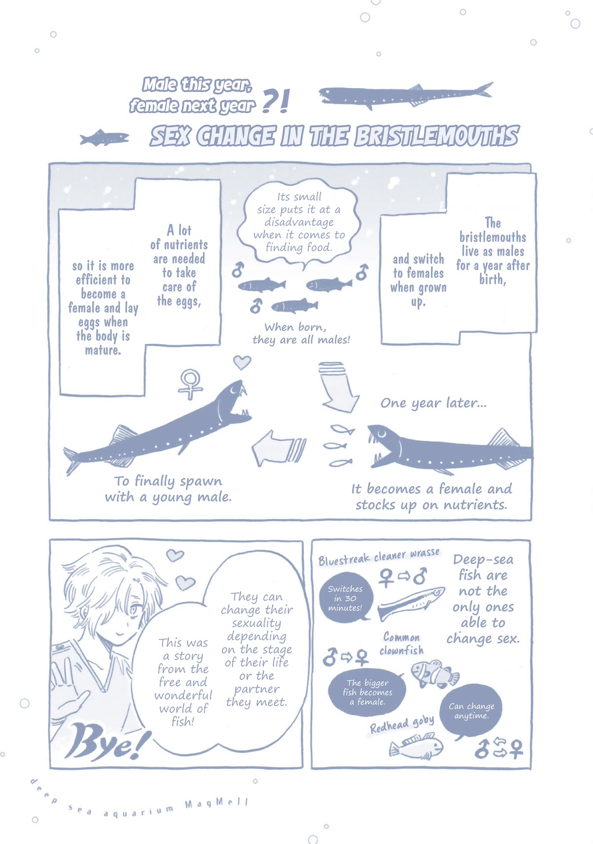 Deep Sea Aquarium Magmell chapter 37.5 page 2