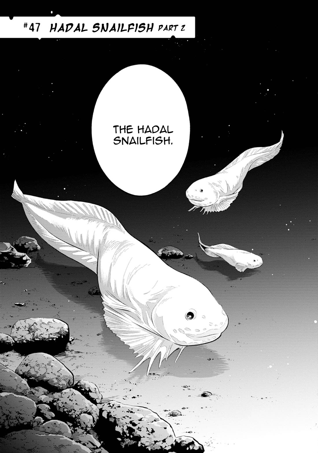 Deep Sea Aquarium Magmell chapter 47 page 3