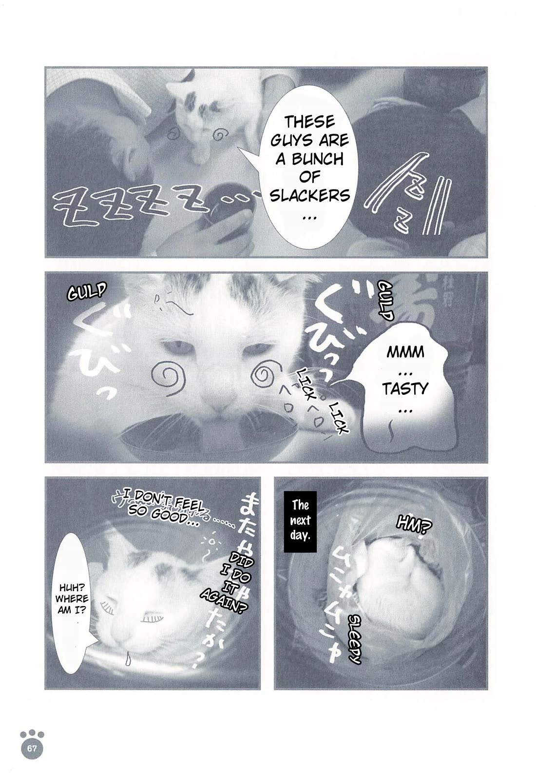 Delinquent President Rena chapter 11 page 4