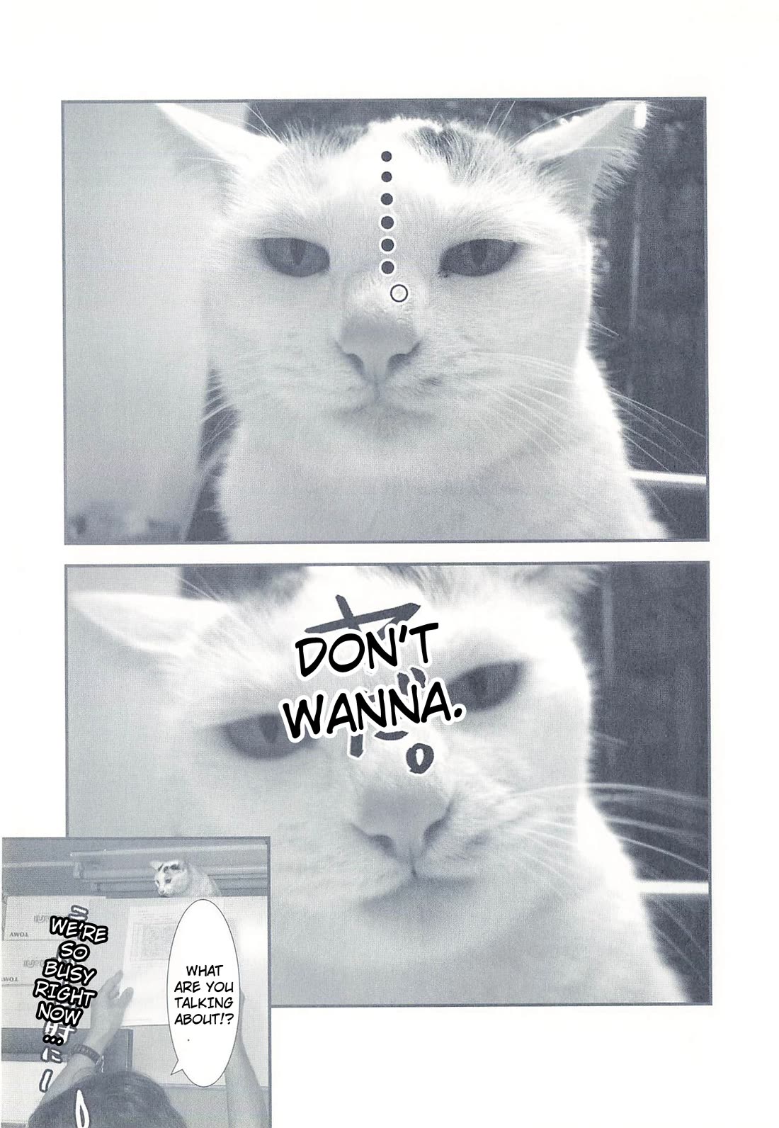 Delinquent President Rena chapter 19 page 2