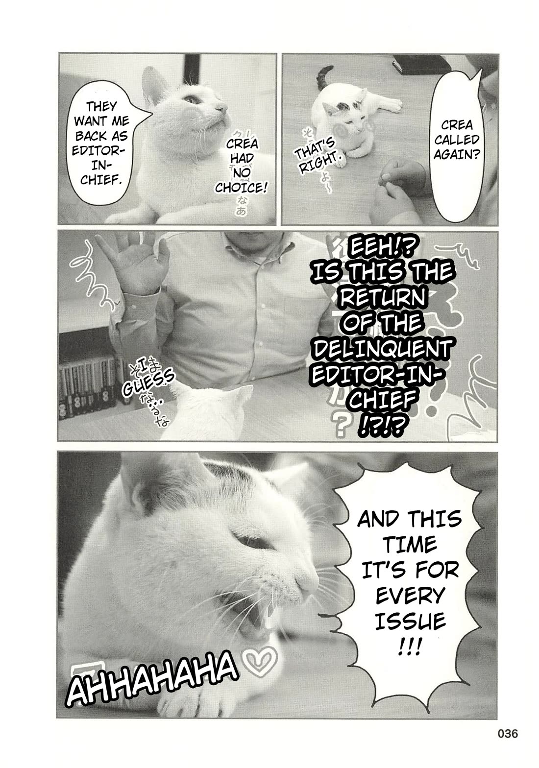 Delinquent President Rena chapter 35 page 5