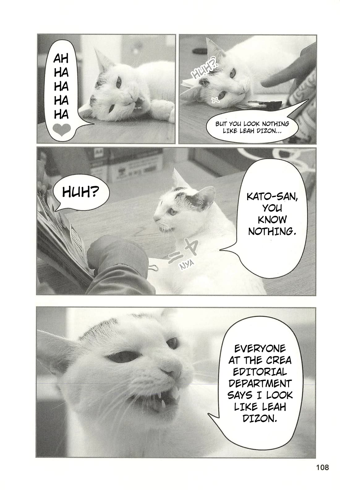 Delinquent President Rena chapter 43 page 3