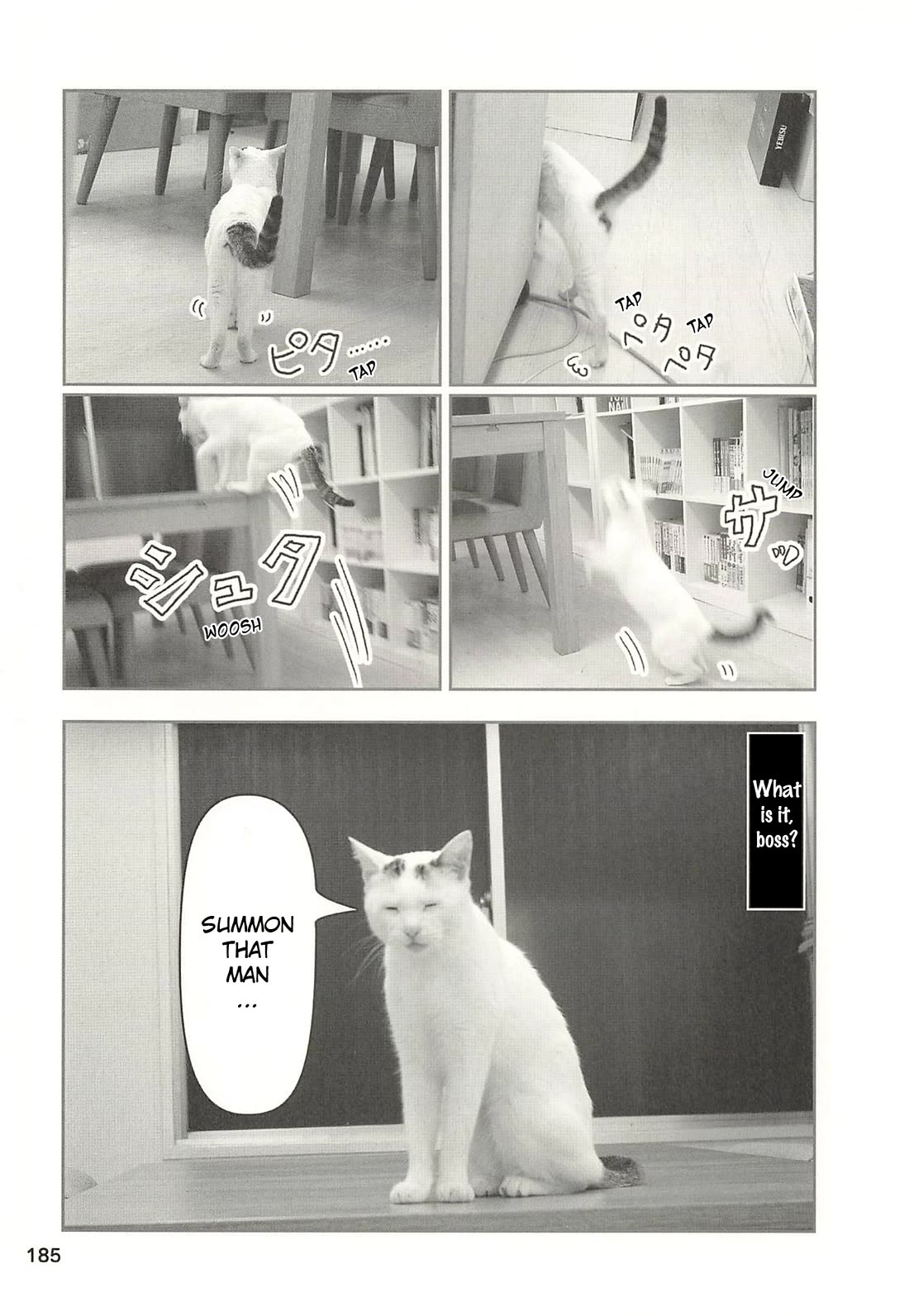 Delinquent President Rena chapter 50 page 4