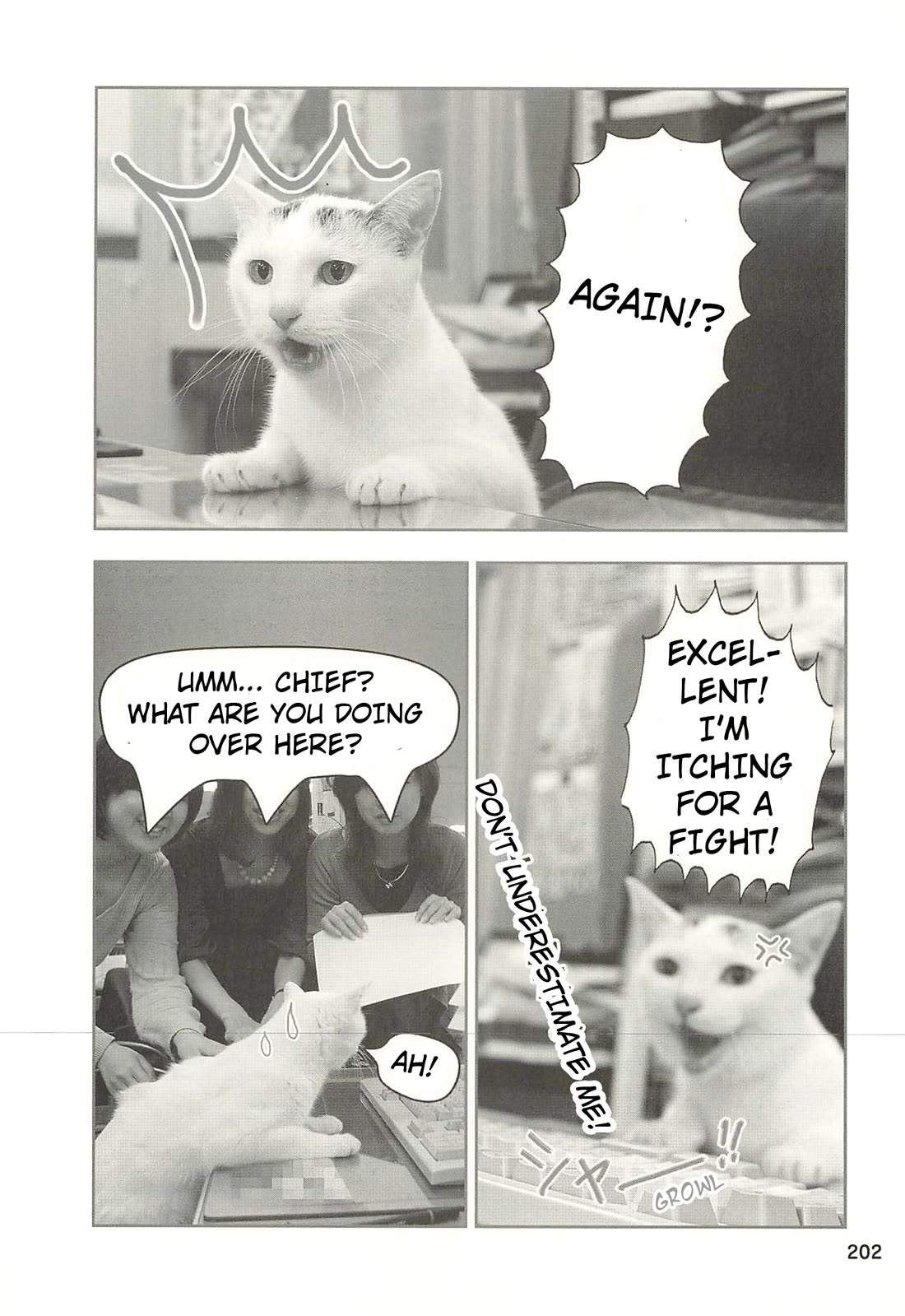 Delinquent President Rena chapter 51 page 13