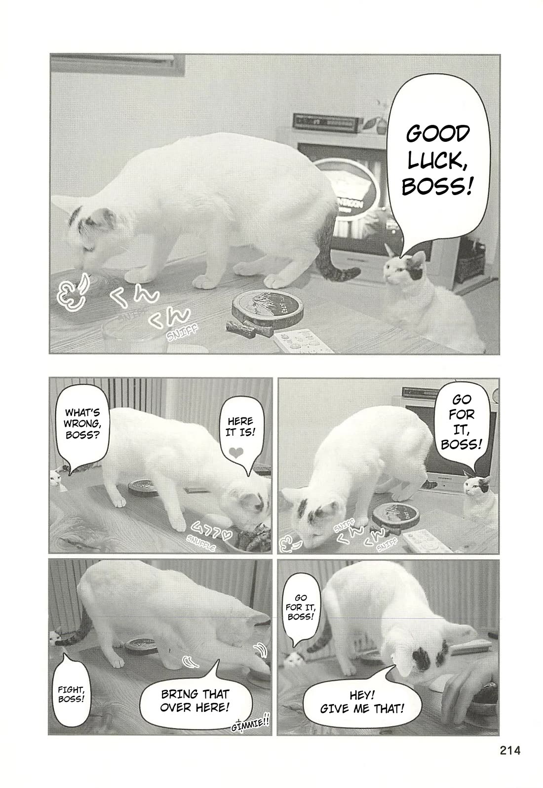 Delinquent President Rena chapter 52 page 11