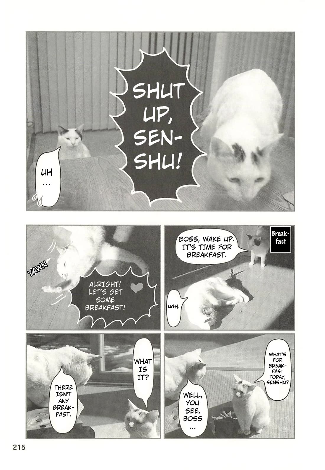 Delinquent President Rena chapter 52 page 12