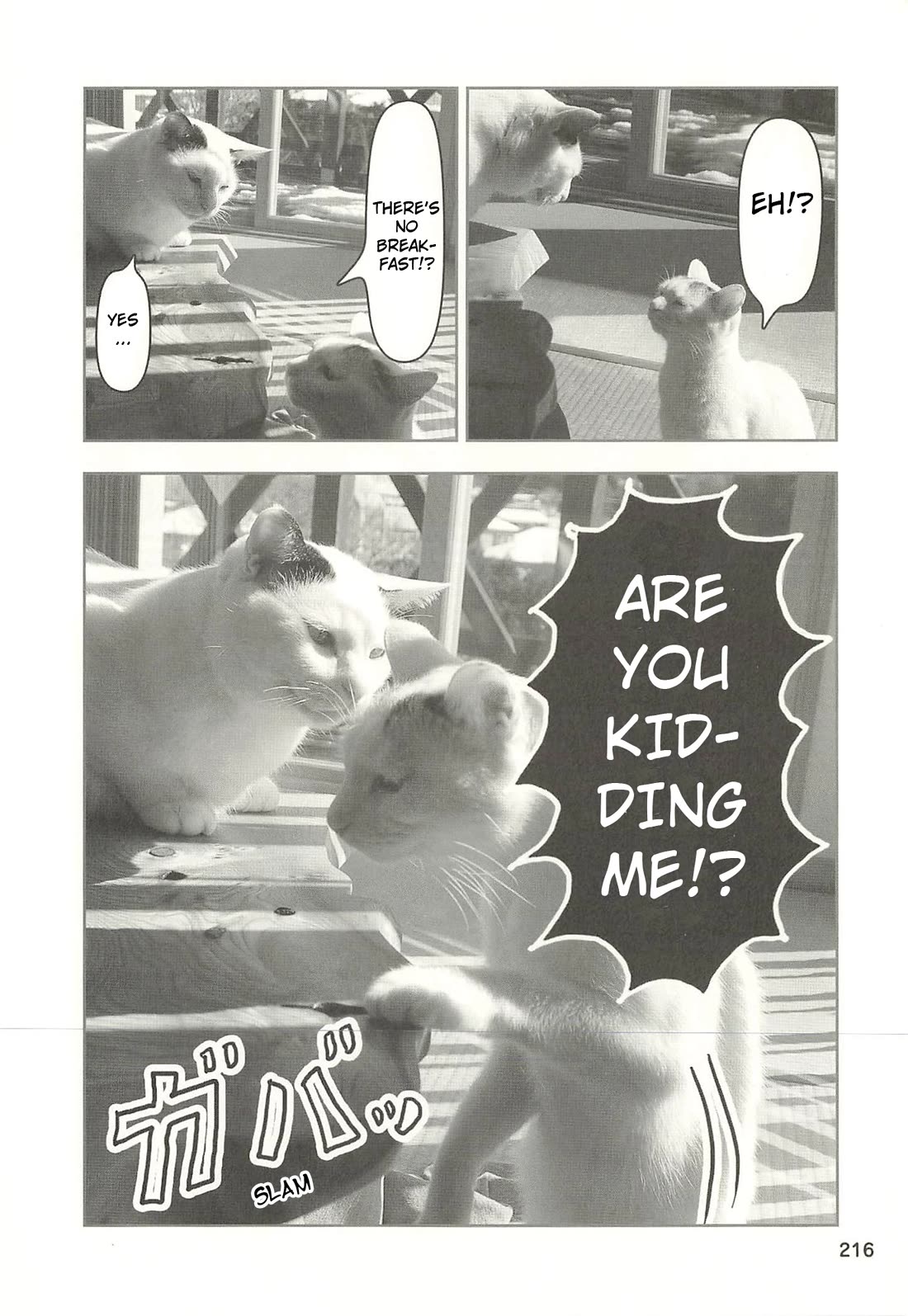 Delinquent President Rena chapter 52 page 13