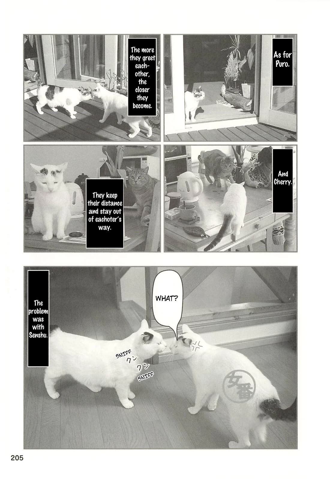 Delinquent President Rena chapter 52 page 2