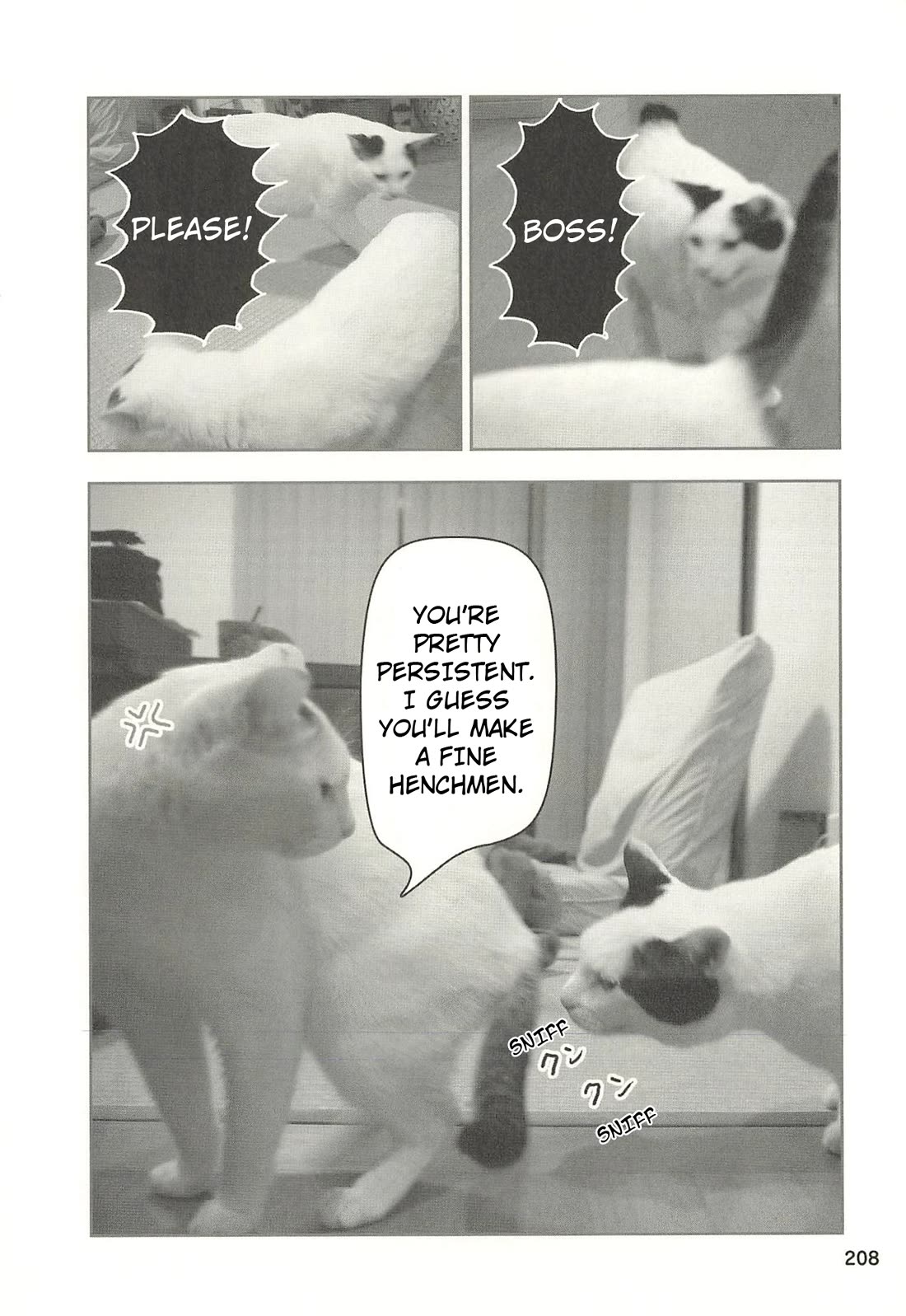 Delinquent President Rena chapter 52 page 5