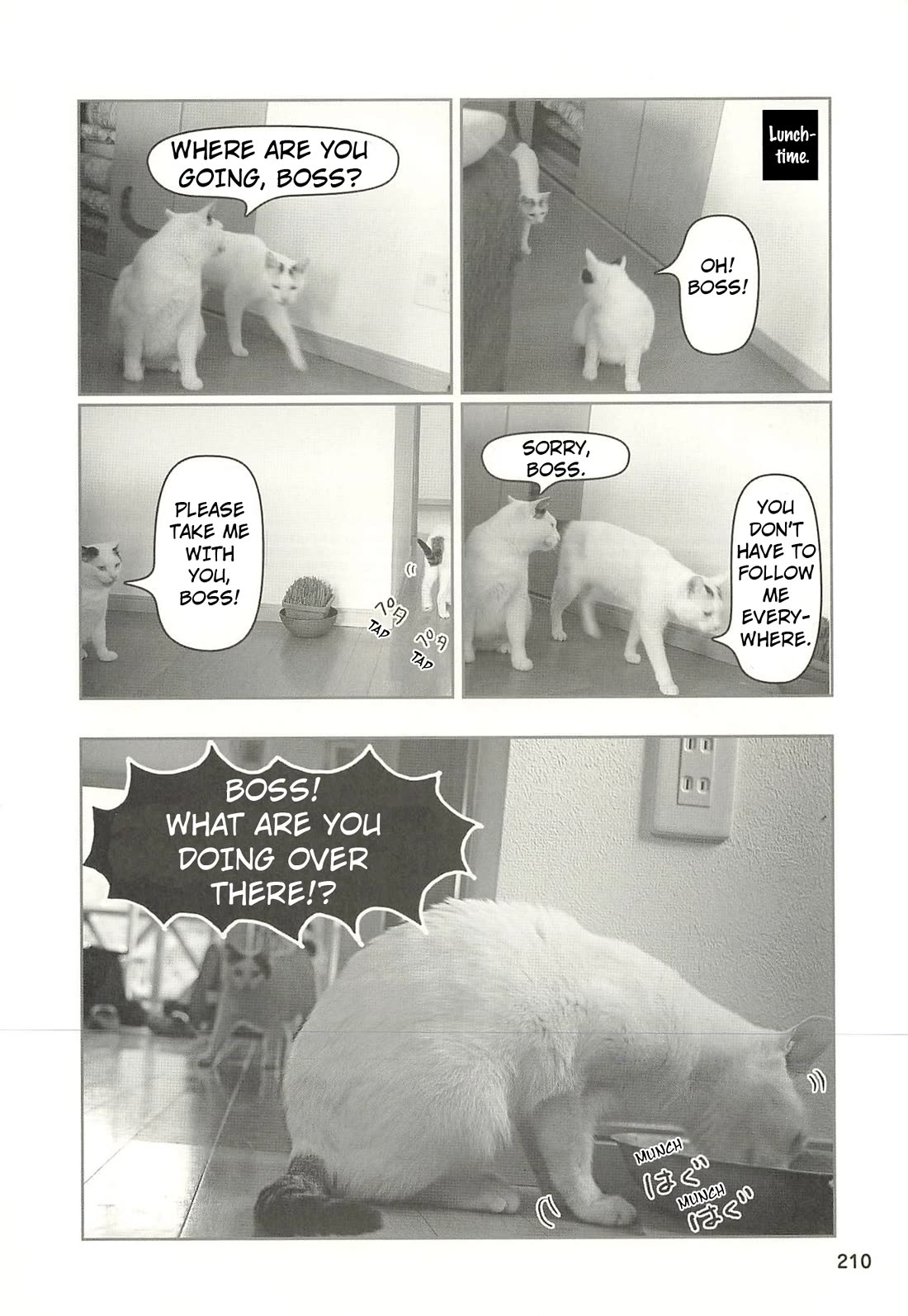 Delinquent President Rena chapter 52 page 7