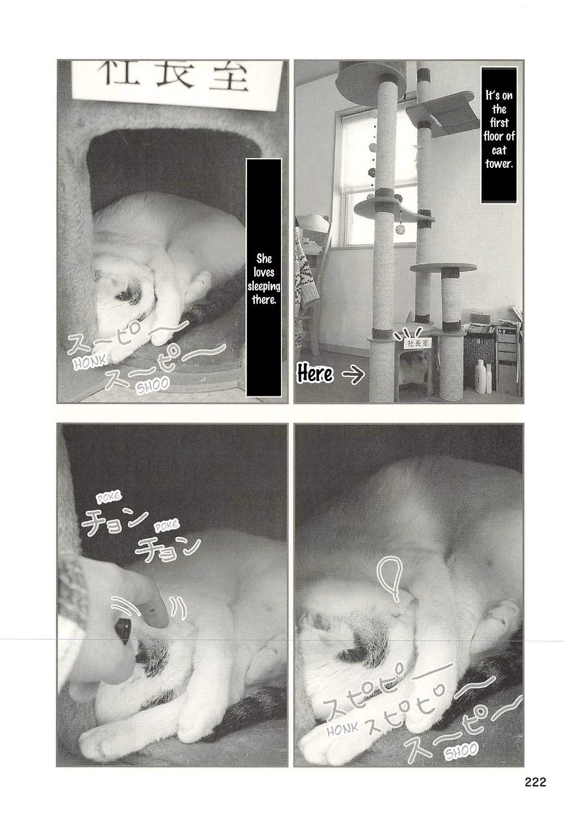 Delinquent President Rena chapter 53 page 3