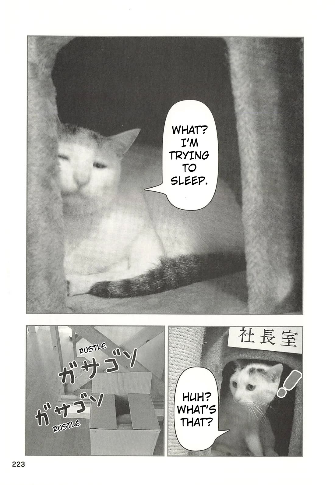 Delinquent President Rena chapter 53 page 4