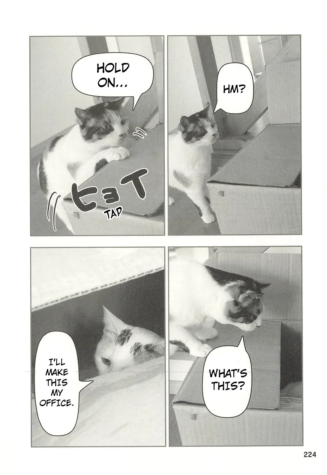 Delinquent President Rena chapter 53 page 5