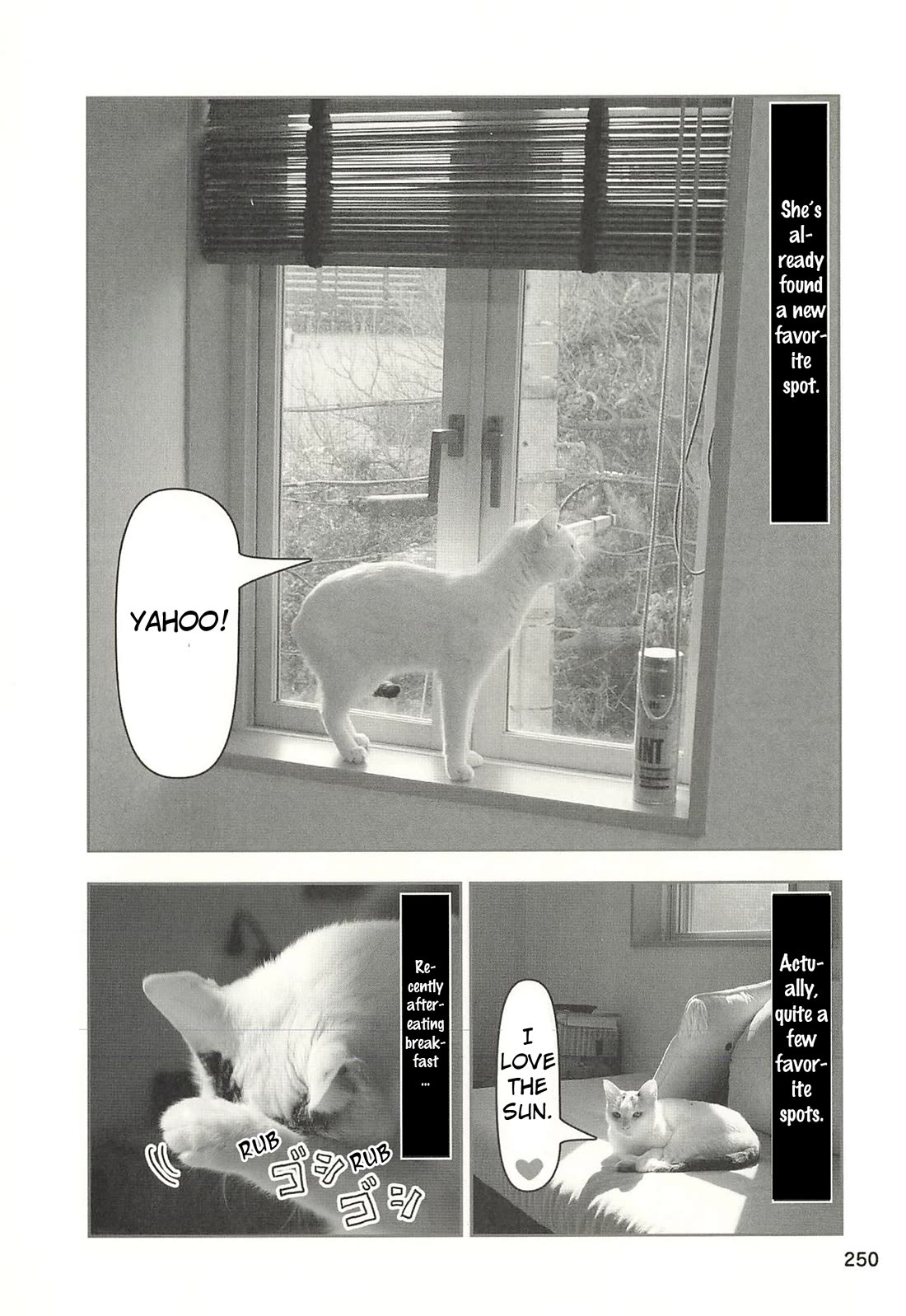 Delinquent President Rena chapter 55 page 5