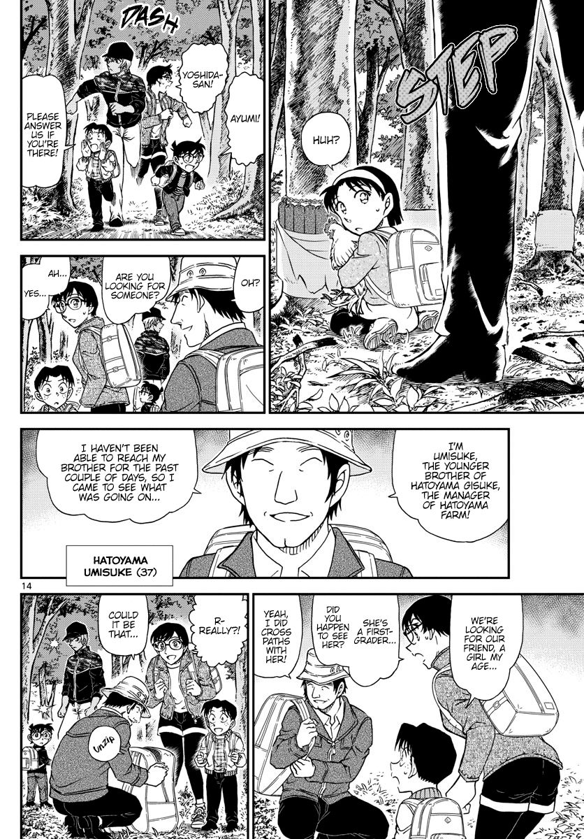 Detective Conan chapter 1051 page 15