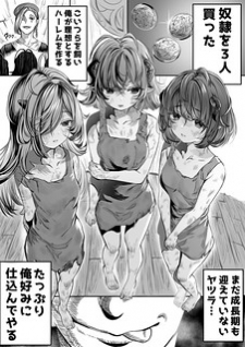 Cover of Dorei Wo Choukyoushite Harem Tsukuru