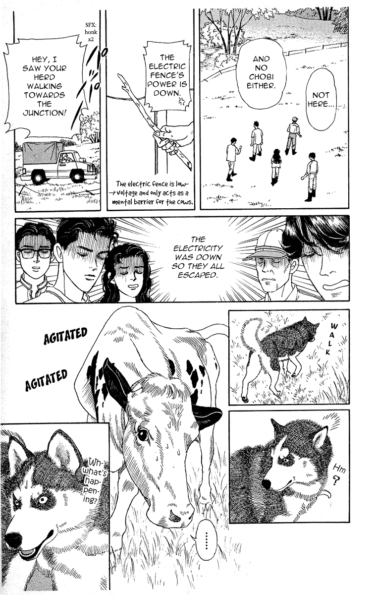 Doubutsu no Oishasan chapter 112 page 11