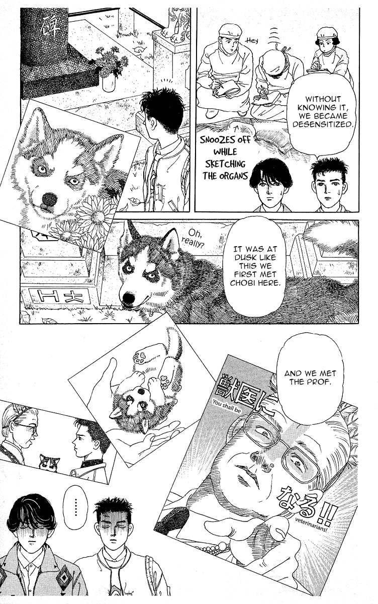 Doubutsu no Oishasan chapter 118 page 7