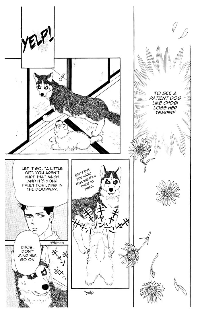 Doubutsu no Oishasan chapter 20 page 14