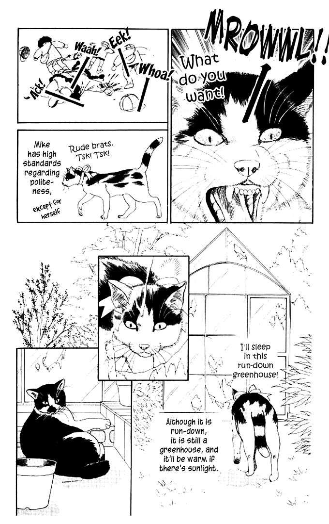 Doubutsu no Oishasan chapter 50 page 3