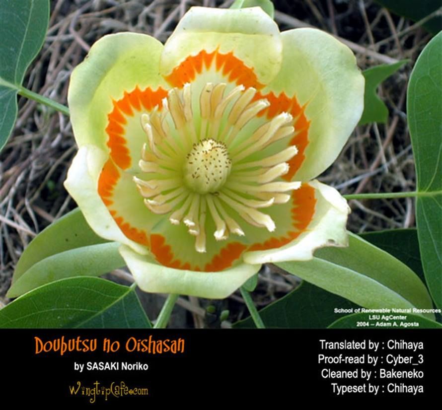 Doubutsu no Oishasan chapter 60 page 19