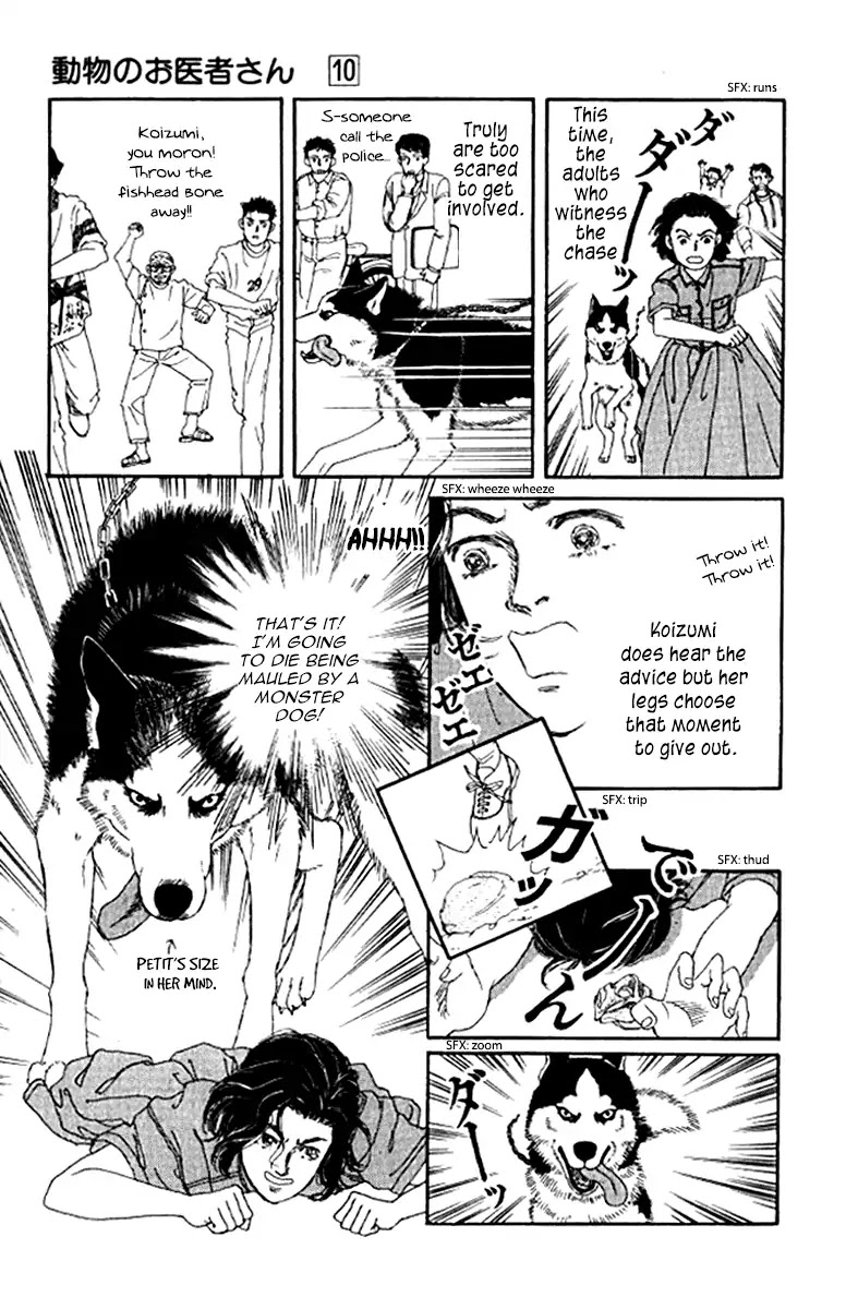 Doubutsu no Oishasan chapter 93 page 19