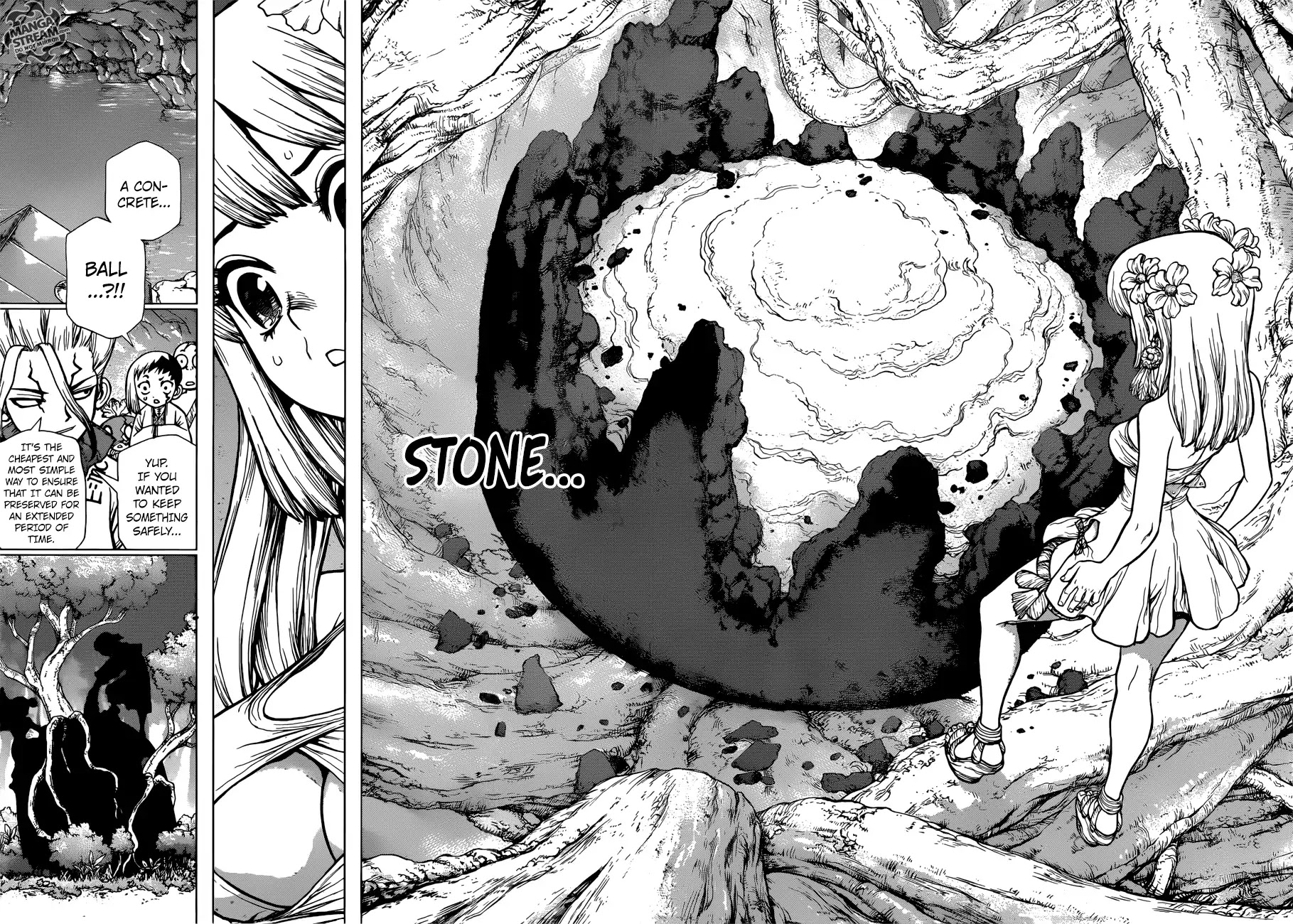 Dr. Stone chapter 114 page 5
