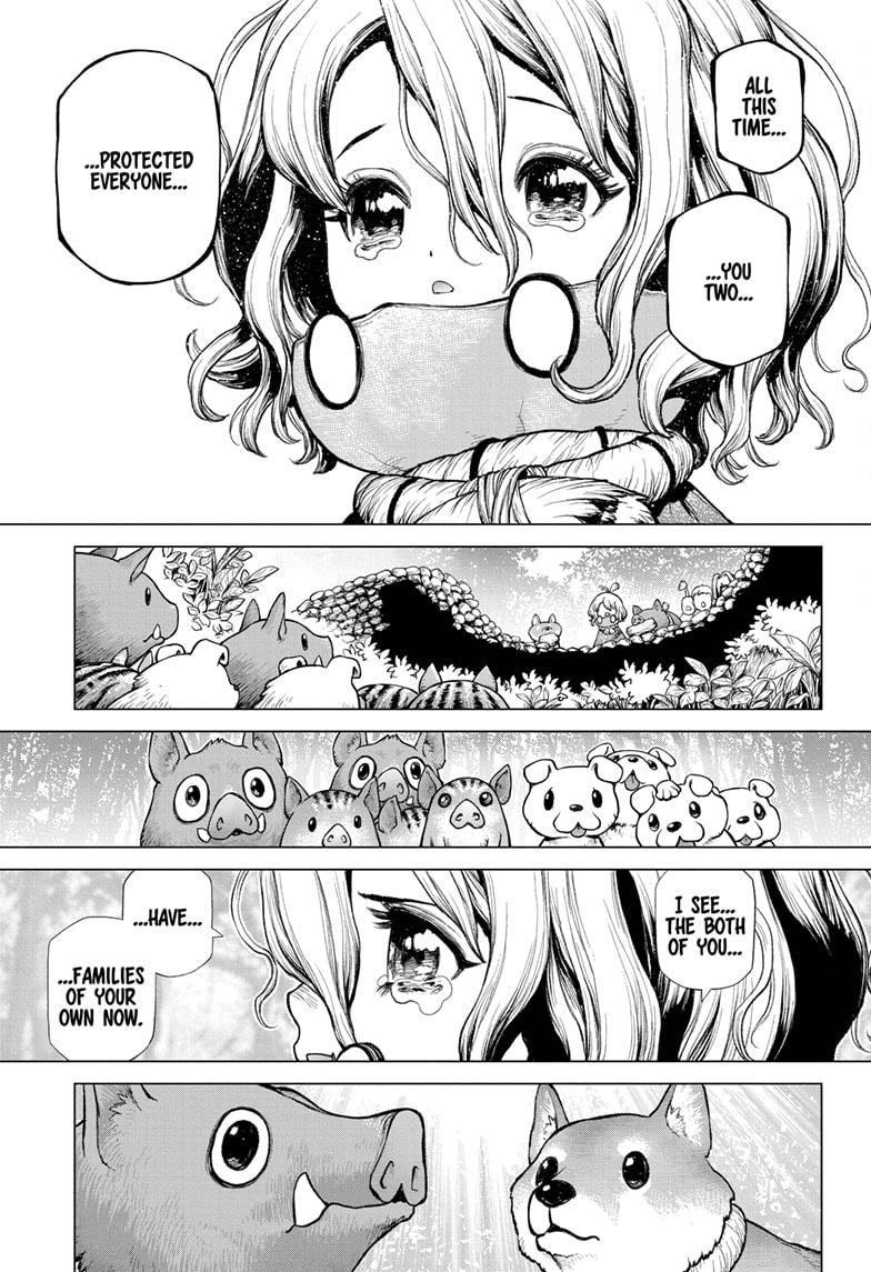 Dr. Stone chapter 212 page 13