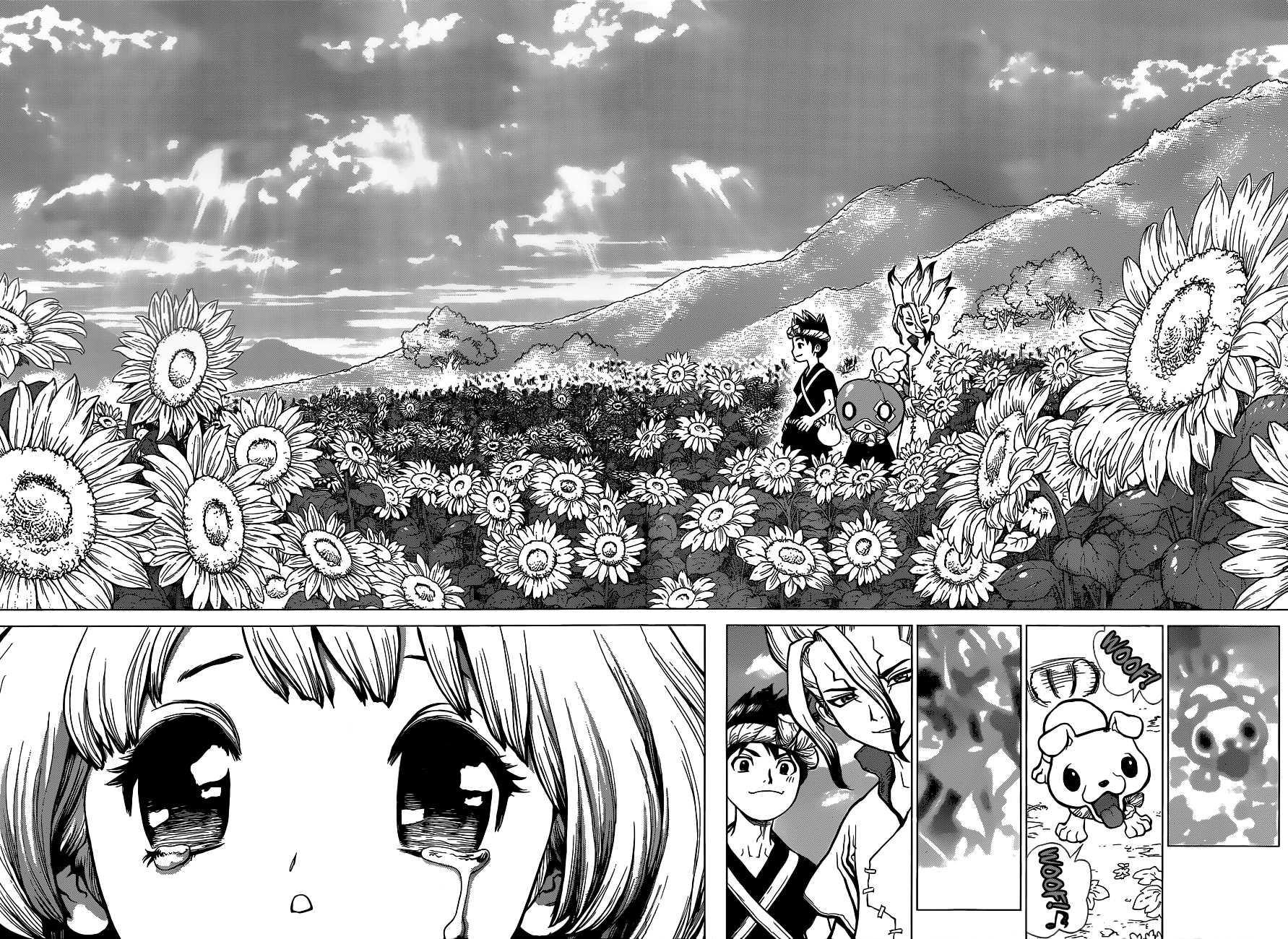 Dr. Stone chapter 28 page 15