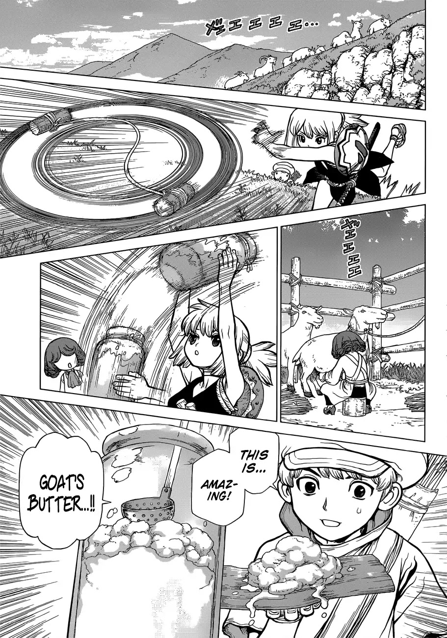 Dr. Stone chapter 92 page 14