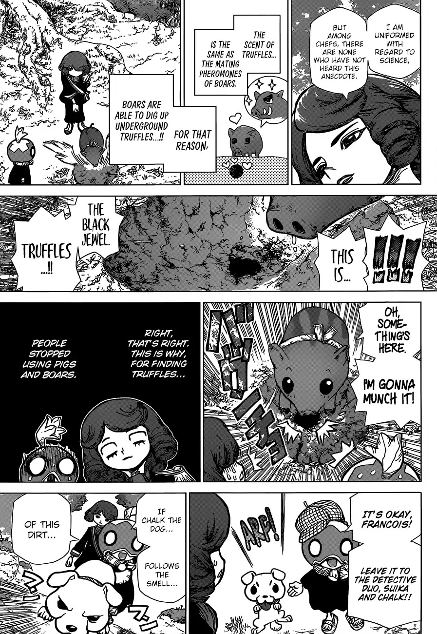 Dr. Stone chapter 94 page 14