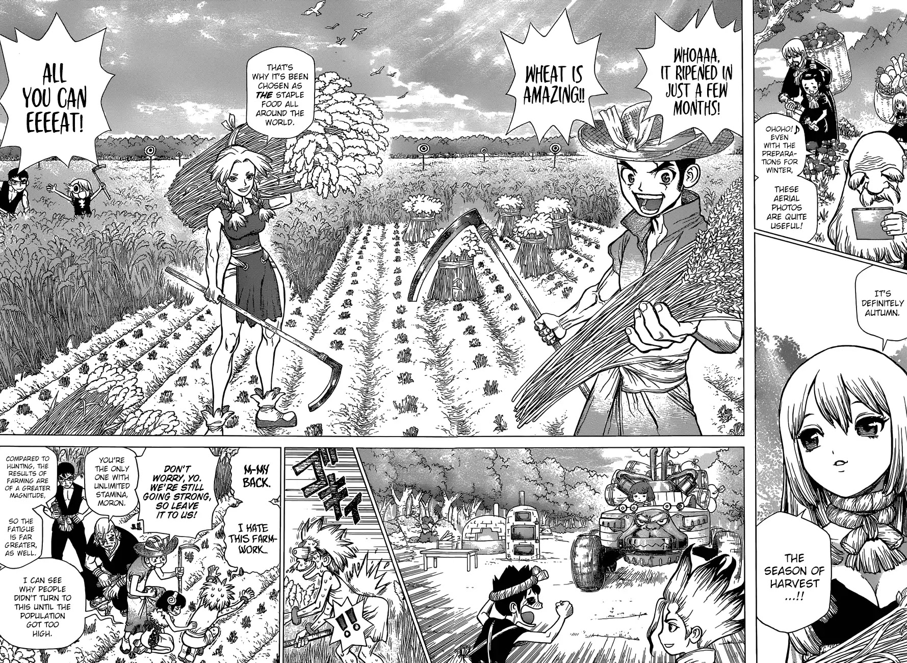 Dr. Stone chapter 94 page 5