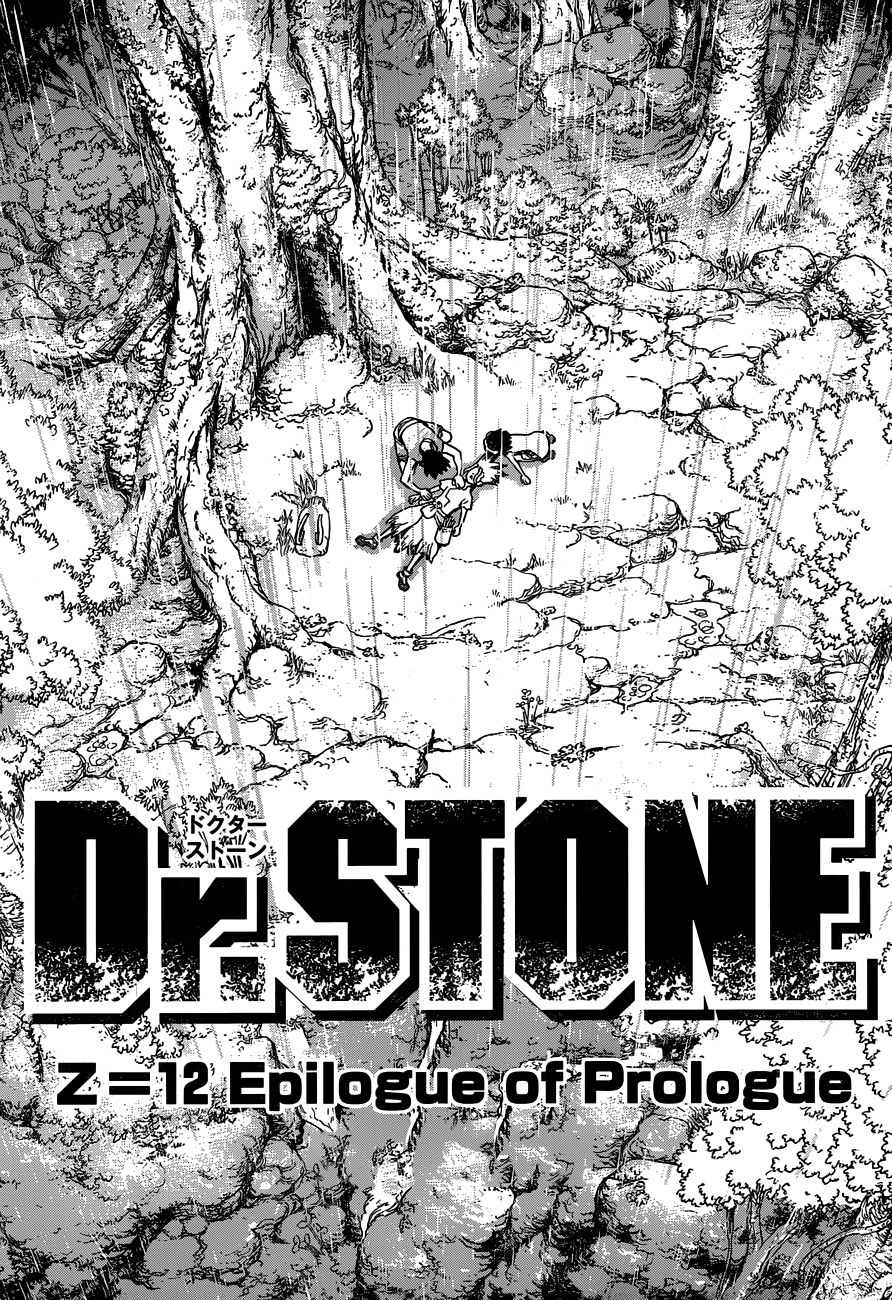 Dr. Stone chapter 12 page 17