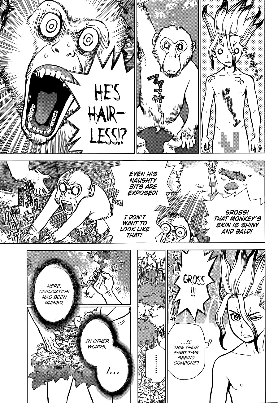 Dr. Stone chapter 13 page 6