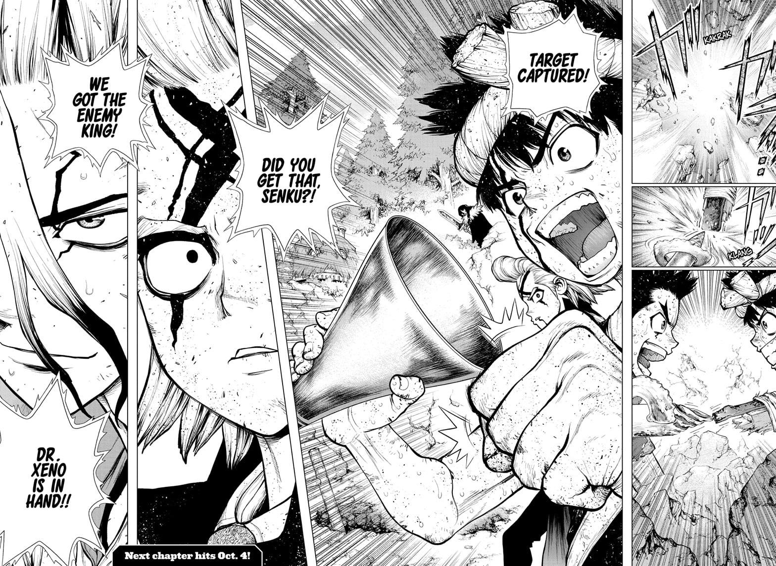 Dr. Stone chapter 167 page 15