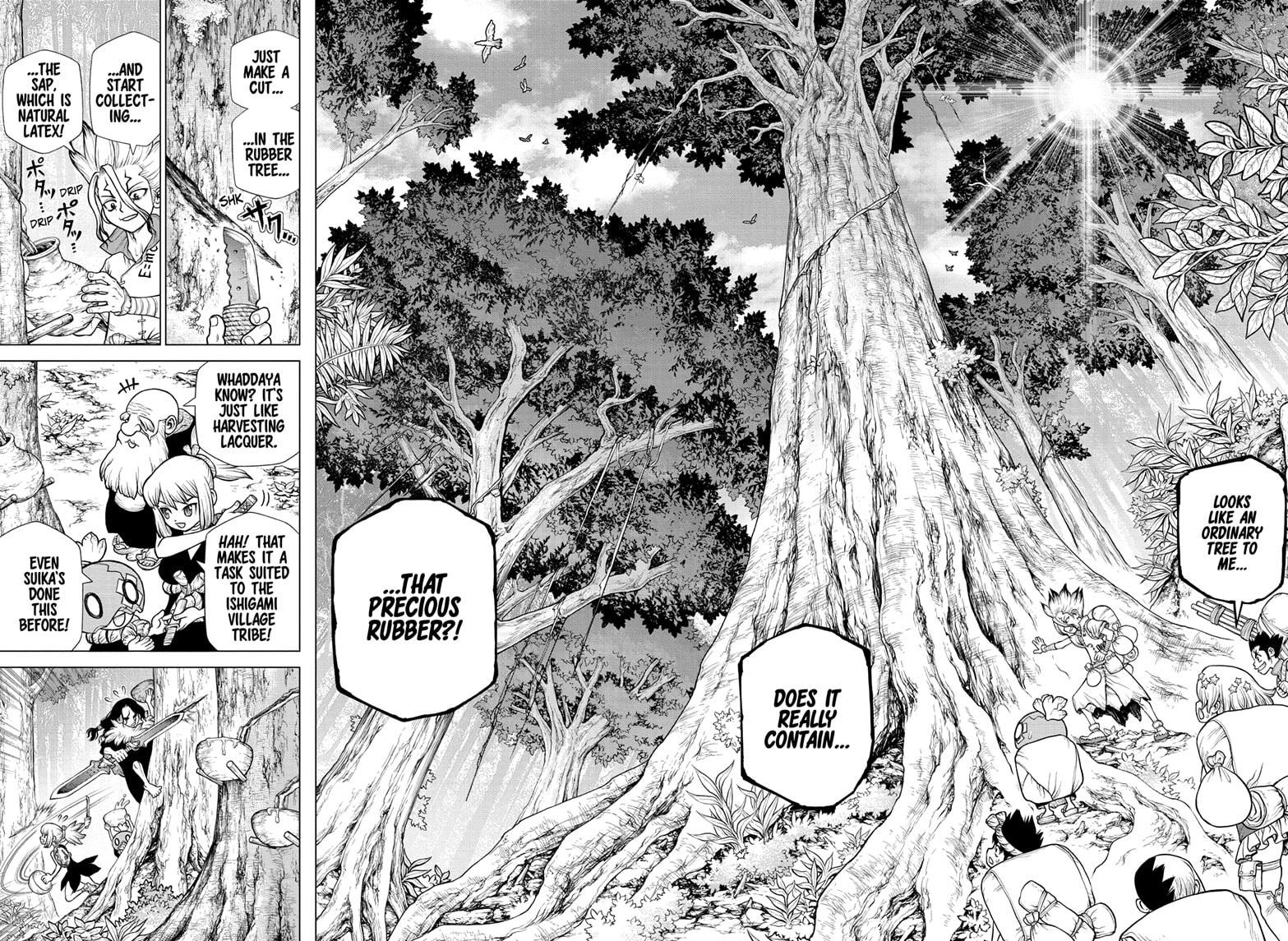 Dr. Stone chapter 174 page 11