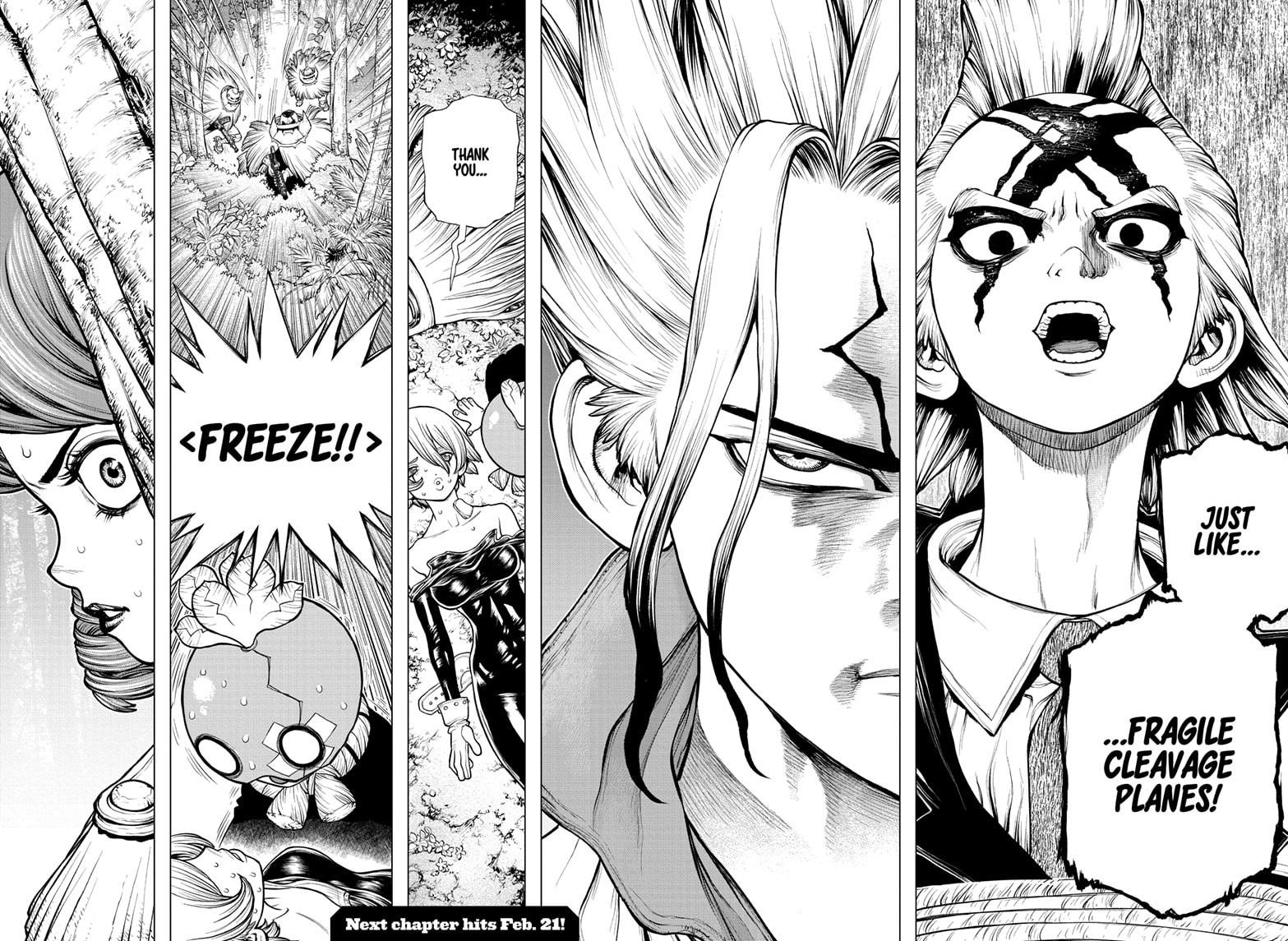 Dr. Stone chapter 185 page 17