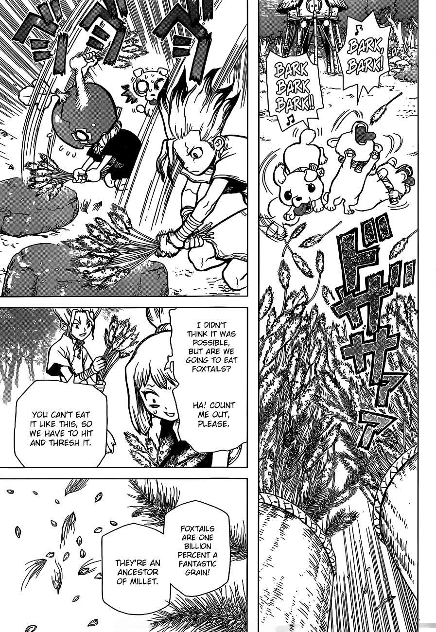 Dr. Stone chapter 22 page 12