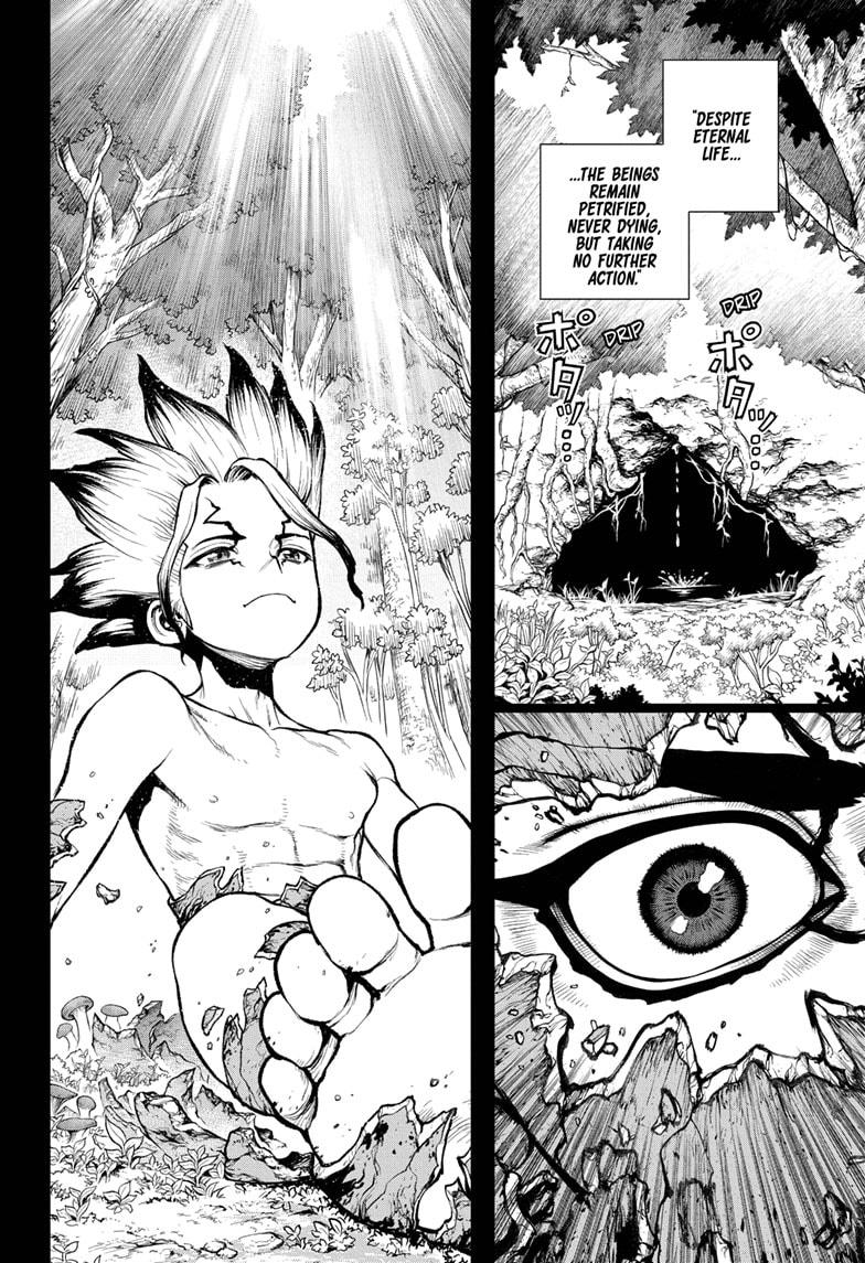 Dr. Stone chapter 229 page 13