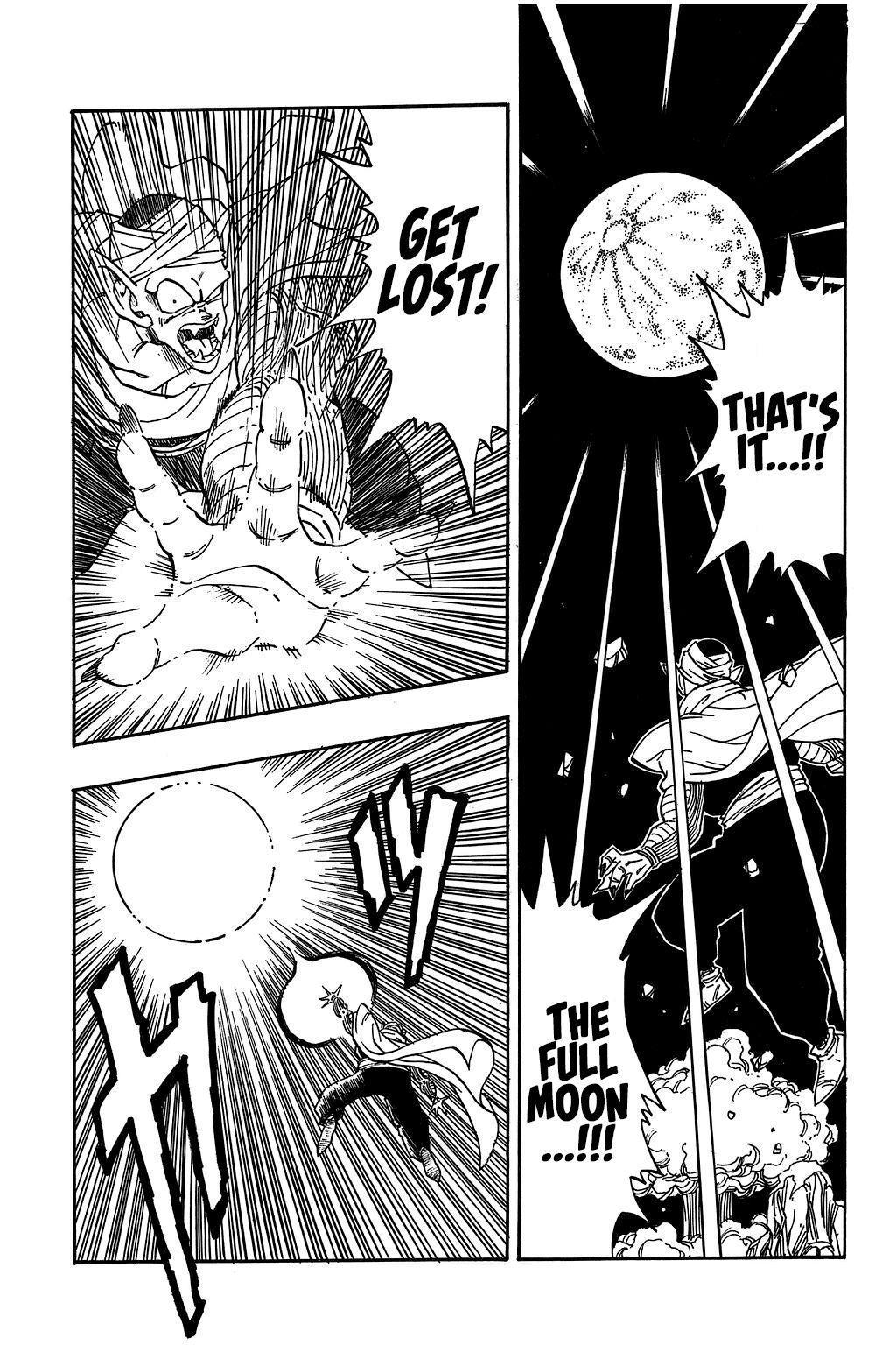 Dragon Ball chapter 208 page 10