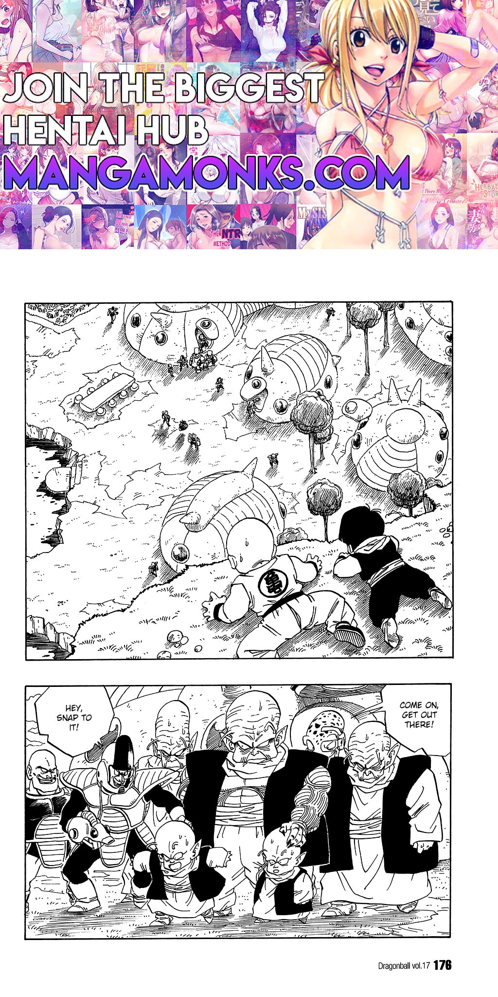 Dragon Ball chapter 252 page 1