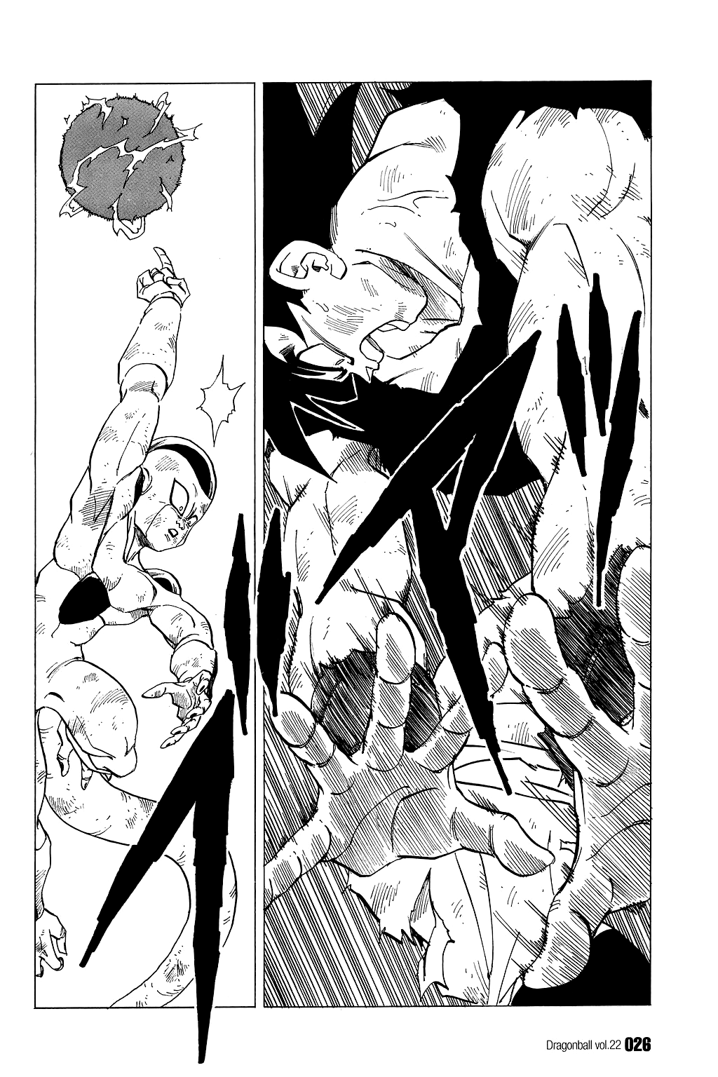 Dragon Ball chapter 316 page 6