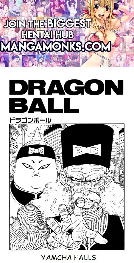 Dragon Ball chapter 339 page 1