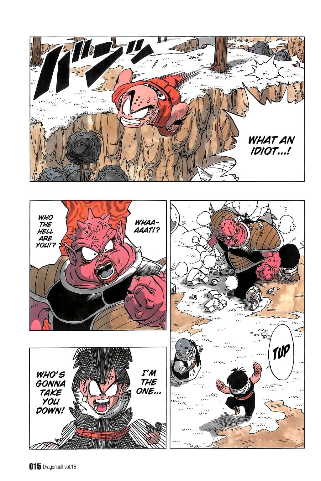 Dragon Ball chapter 255 page 15