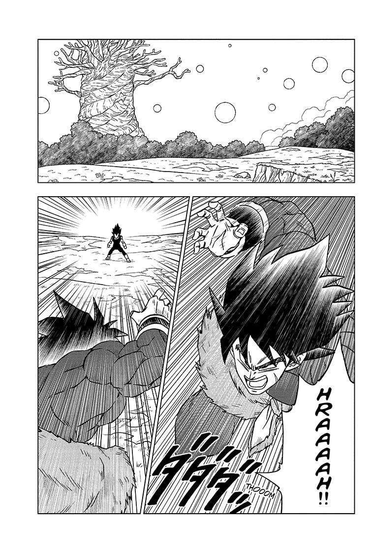 Dragon Ball Super chapter 101 page 15
