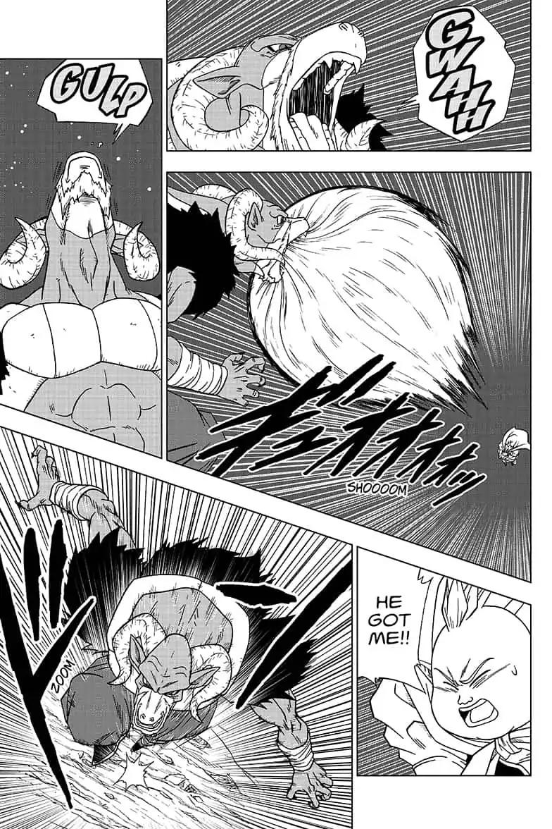 Dragon Ball Super chapter 49 page 14