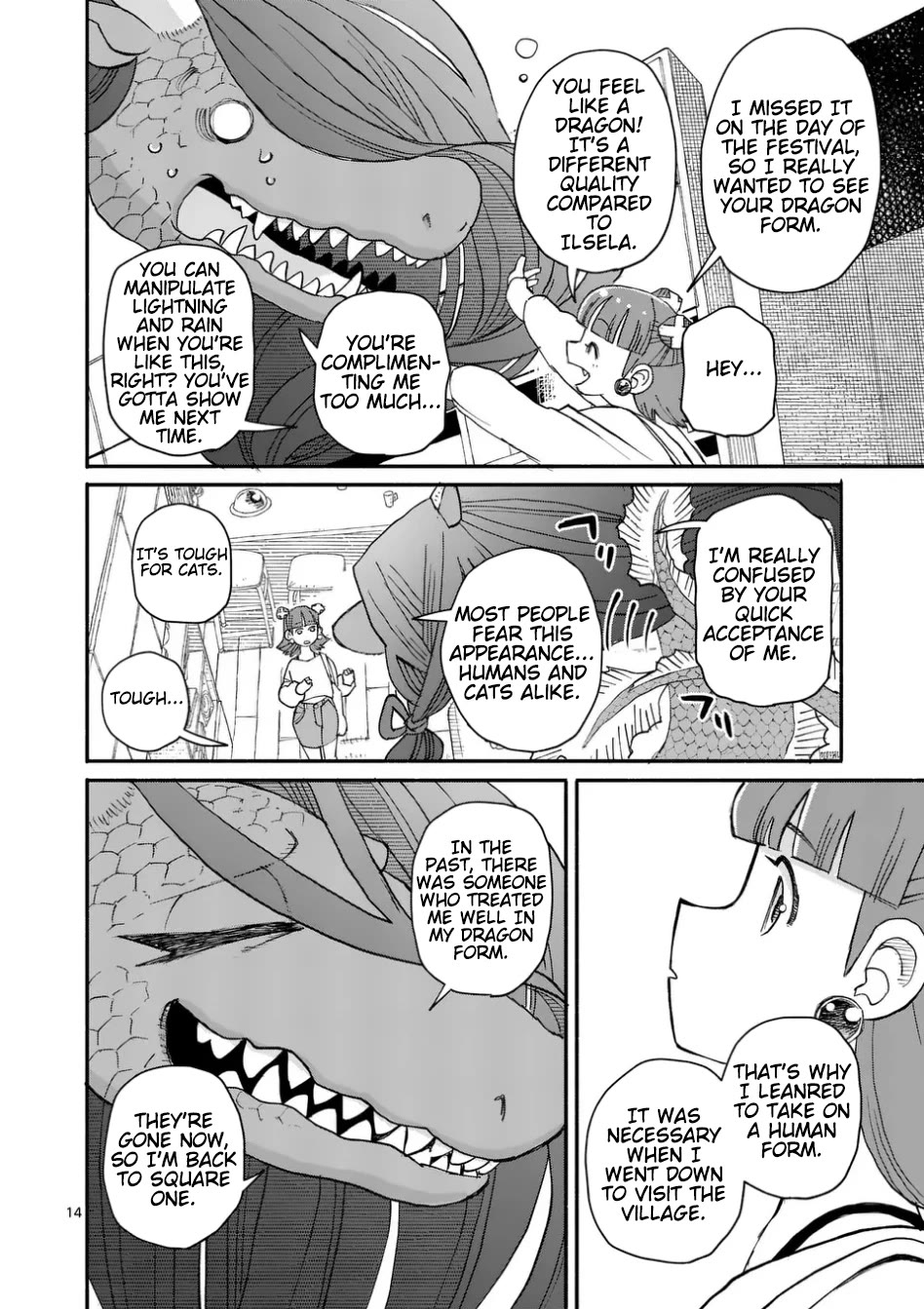 Dragon, Please Go Easy on Me chapter 11 page 14