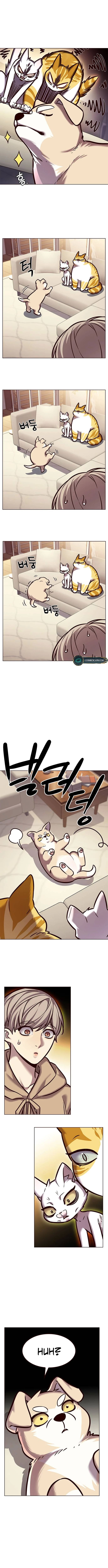 Eleceed chapter 279 page 15