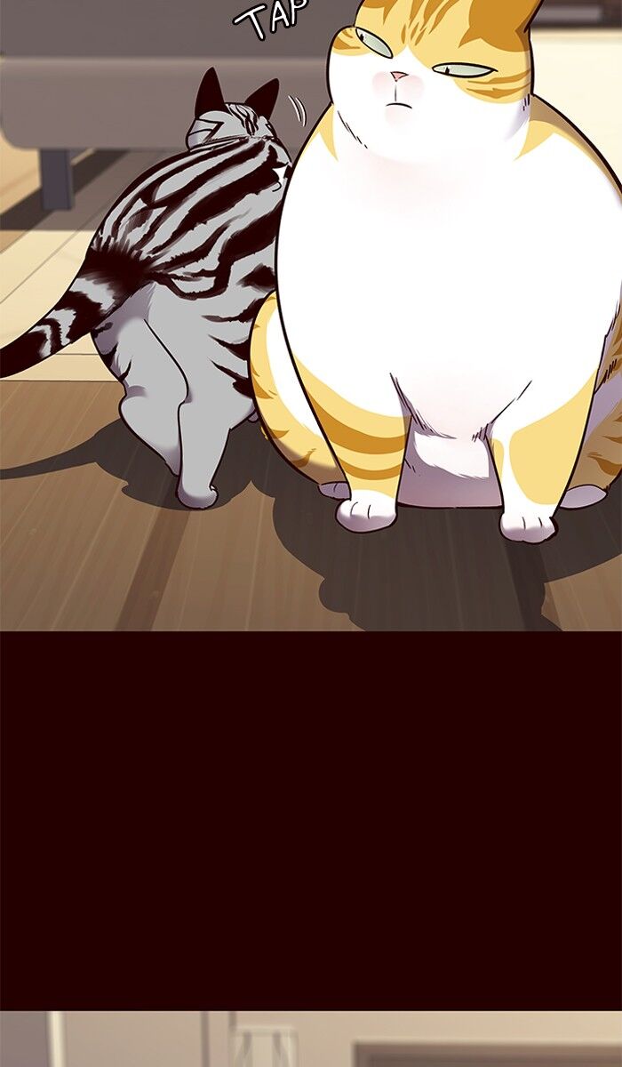 Eleceed chapter 67 page 41