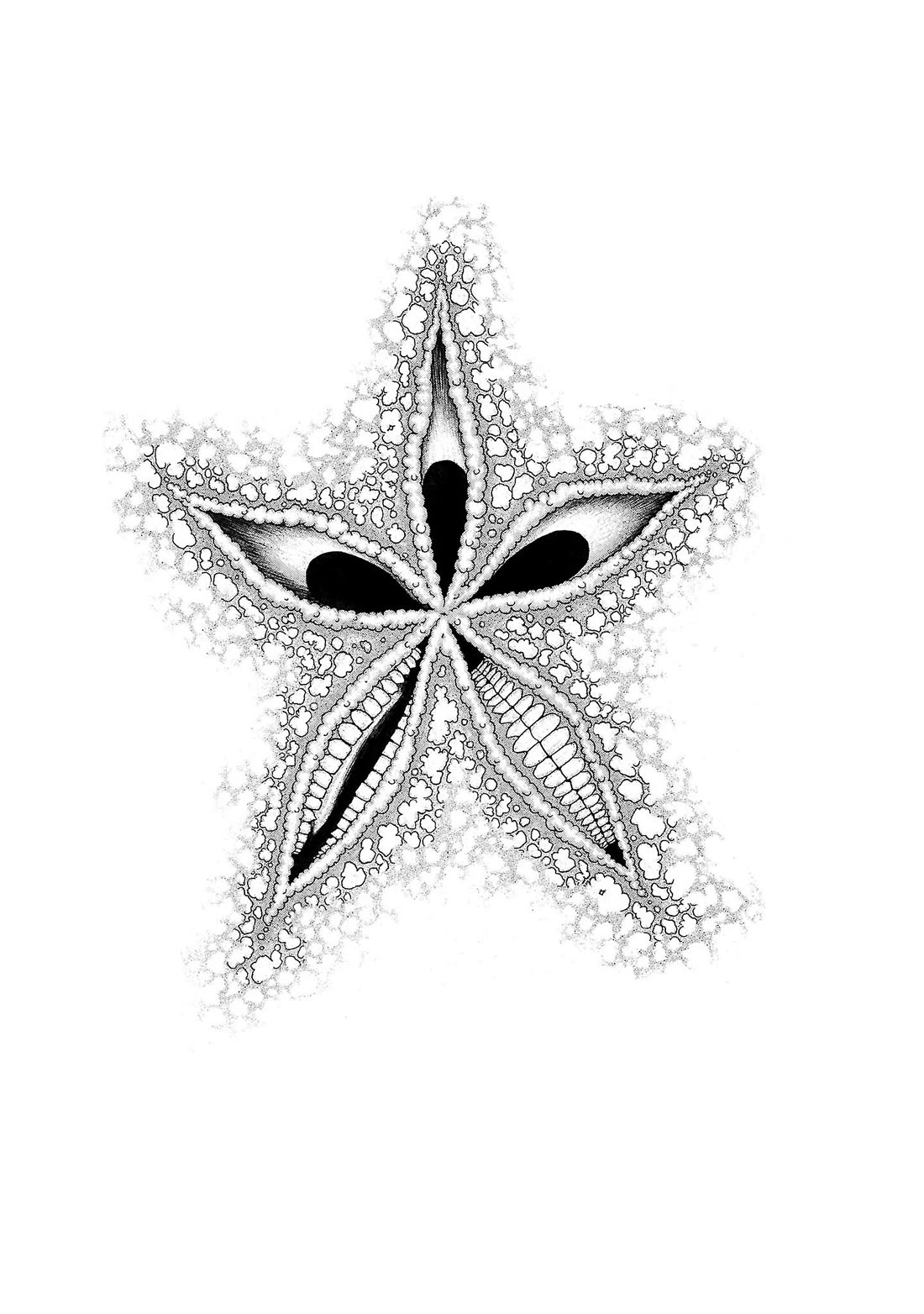 Fuan no Tane Asterisk chapter 208 page 1